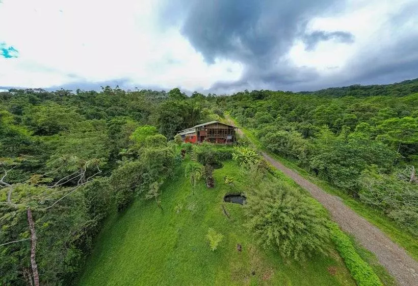 Aamiaismajoitus (B&B) Birds & Breakfast