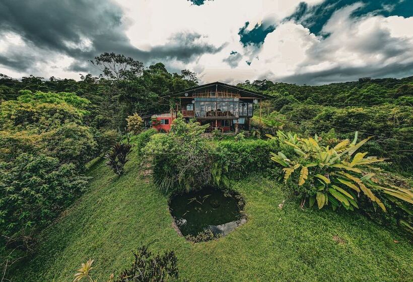 住宿加早餐 Birds & Breakfast