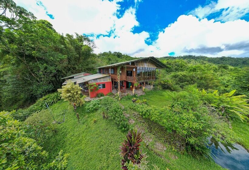 住宿加早餐 Birds & Breakfast