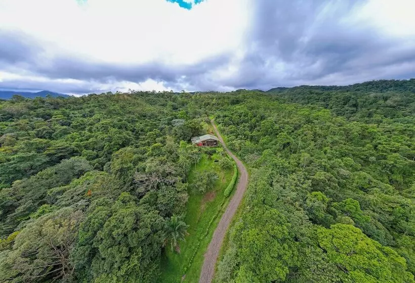 Aamiaismajoitus (B&B) Birds & Breakfast