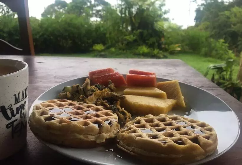 Aamiaismajoitus (B&B) Birds & Breakfast