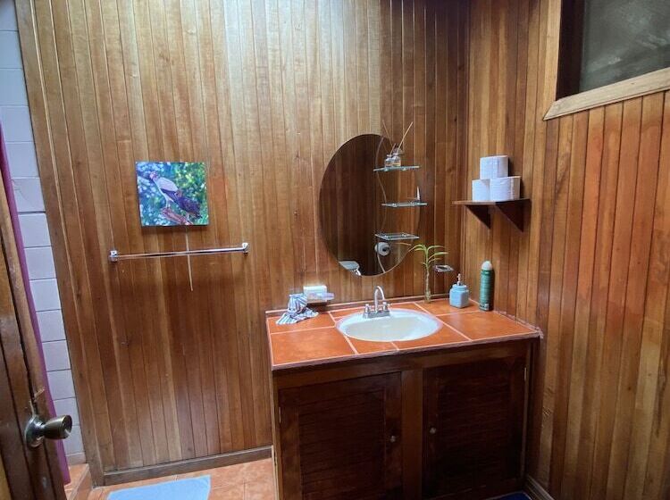 住宿加早餐 Birds & Breakfast