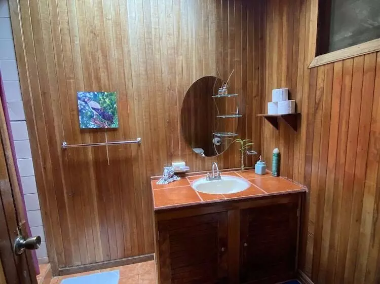 Aamiaismajoitus (B&B) Birds & Breakfast