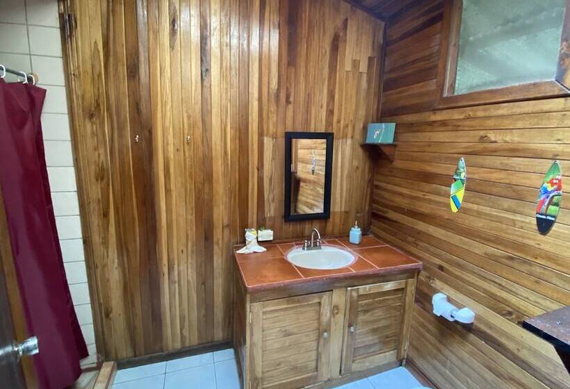 住宿加早餐 Birds & Breakfast