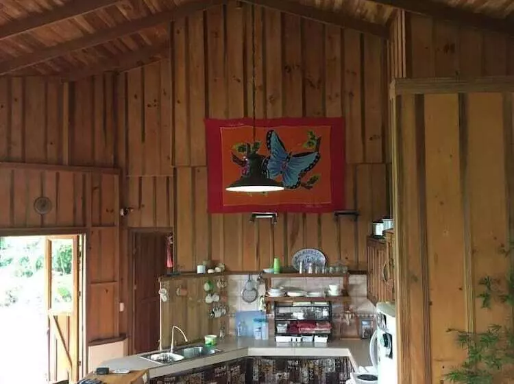 Aamiaismajoitus (B&B) Birds & Breakfast