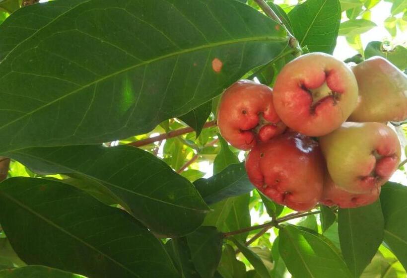 צימר Singithi Villa