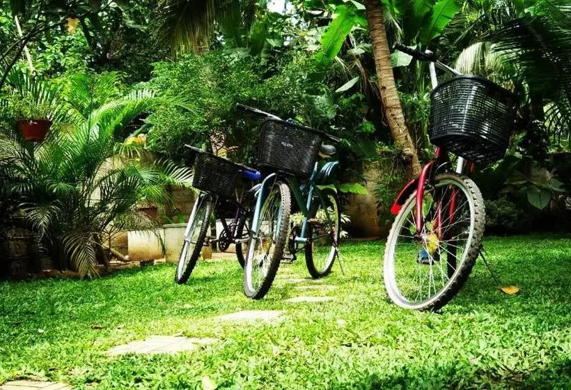 Aamiaismajoitus (B&B) Singithi Villa