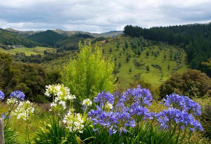 住宿加早餐  Villa Shemshi