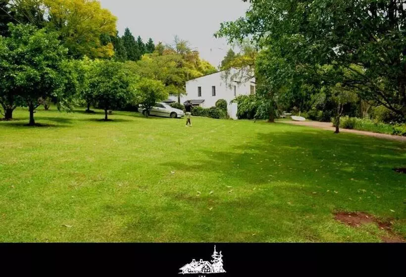 Forest House B&b
