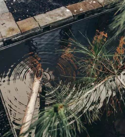 Hotelli Zhangjiajie Song Boutique B & B   Zhangjiajie National Forest Park Wulingyuan