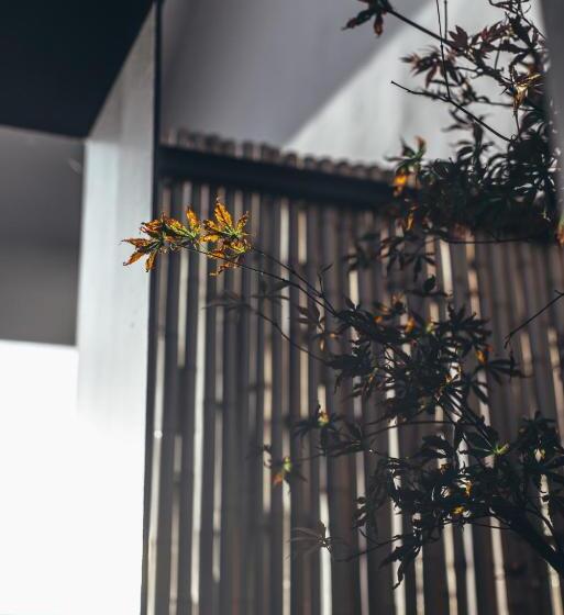 酒店 Zhangjiajie Song Boutique B & B Zhangjiajie National Forest Park Wulingyuan