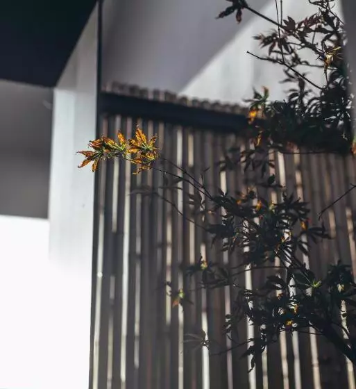 Hotelli Zhangjiajie Song Boutique B & B   Zhangjiajie National Forest Park Wulingyuan