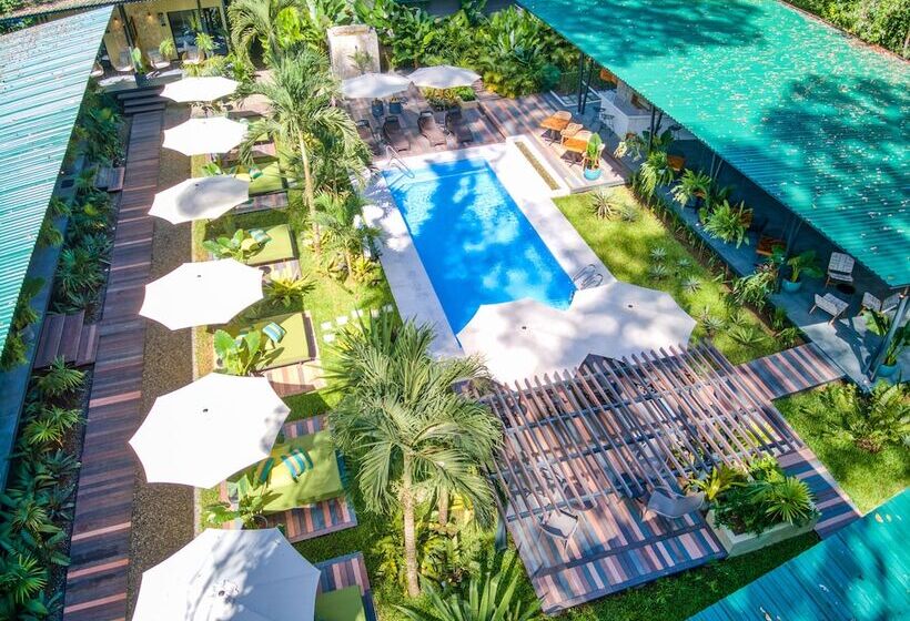 هتل Exôtico Beach