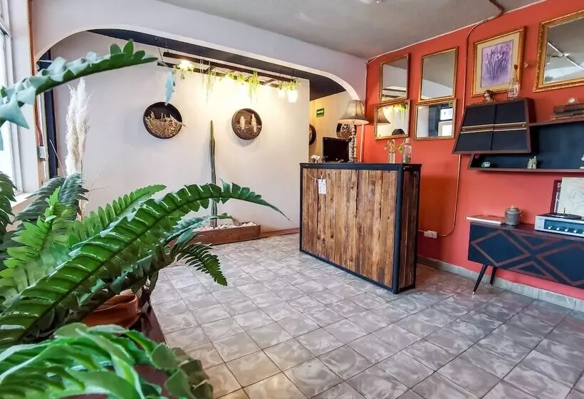 Hotelli Hostal Casa Los Abuelos