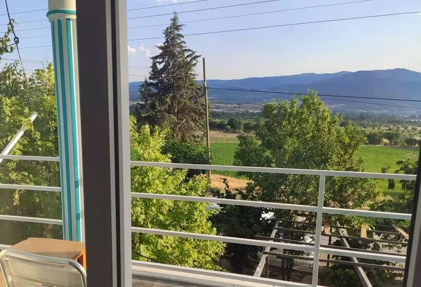 Hotelli Kaplan Pansiyon