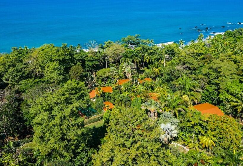 호텔 La Ponderosa Beach & Jungle Resort