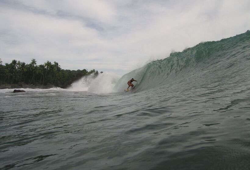 호텔 La Ponderosa Beach & Jungle Resort