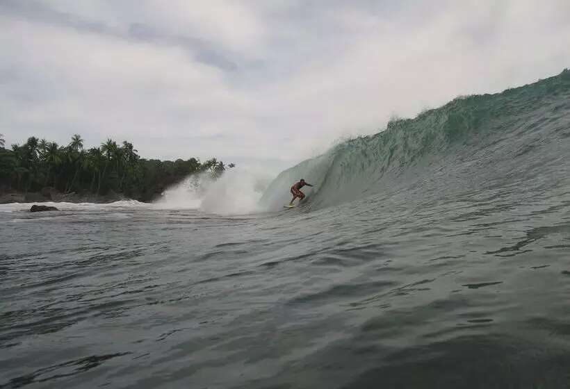 Hotelli La Ponderosa Beach & Jungle Resort