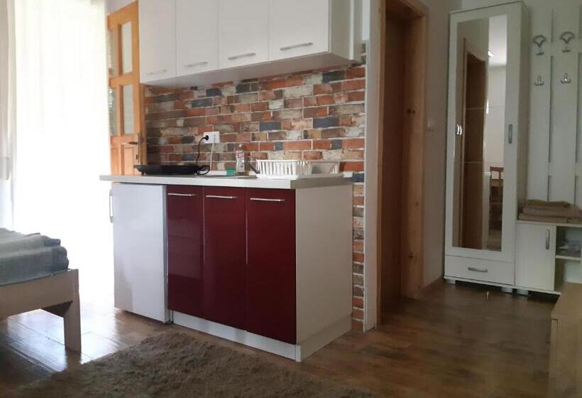 پانسیون Bosa Noga Rzav