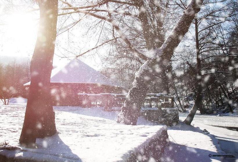 پانسیون Bosa Noga Rzav