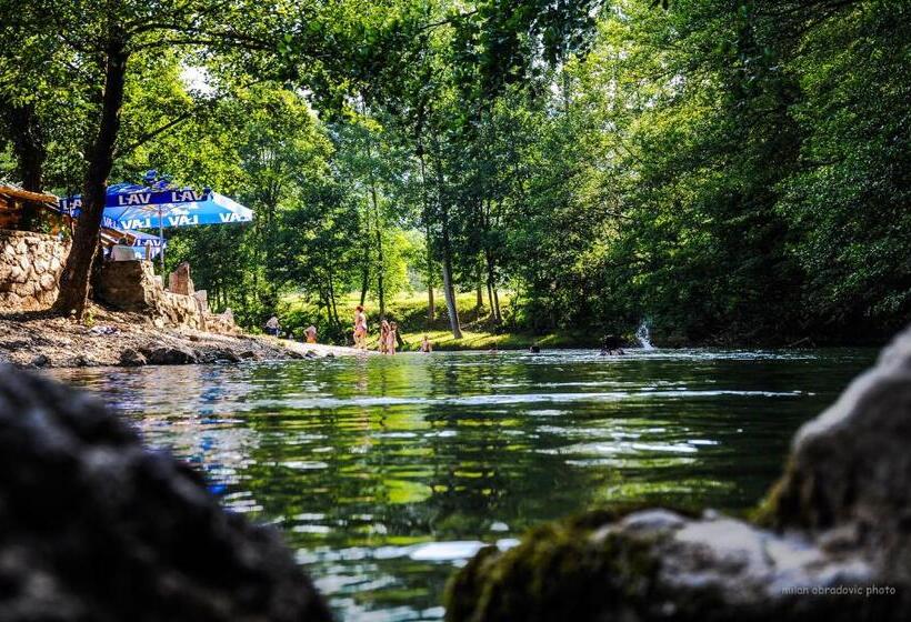 پانسیون Bosa Noga Rzav