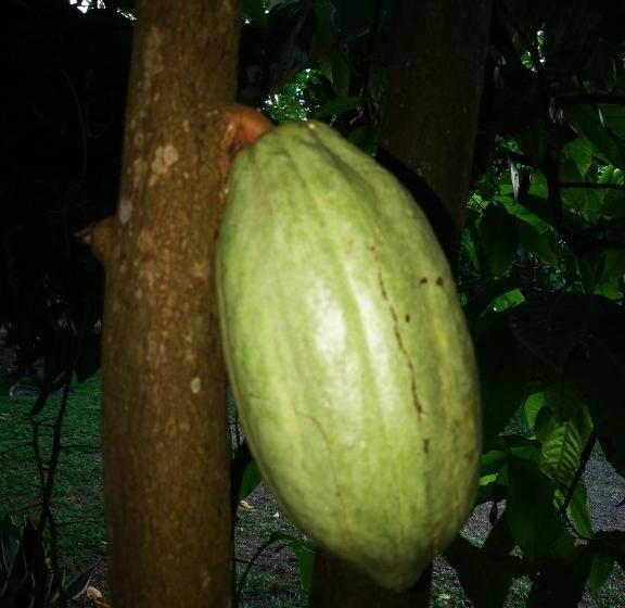 هاستل Cabinas Rhode Island