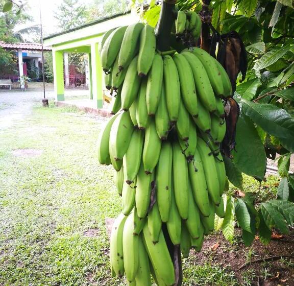 هاستل Cabinas Rhode Island