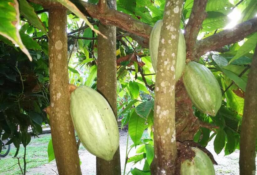 هاستل Cabinas Rhode Island