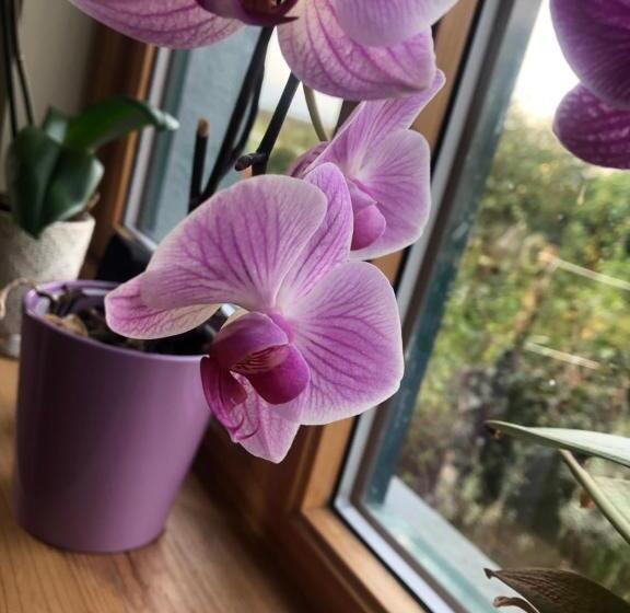 צימר Cosy Burren Home Away From Home