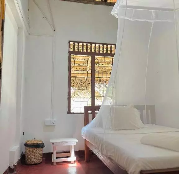ベッドアンドブレックファースト Hostal Kite Kalpitiya
