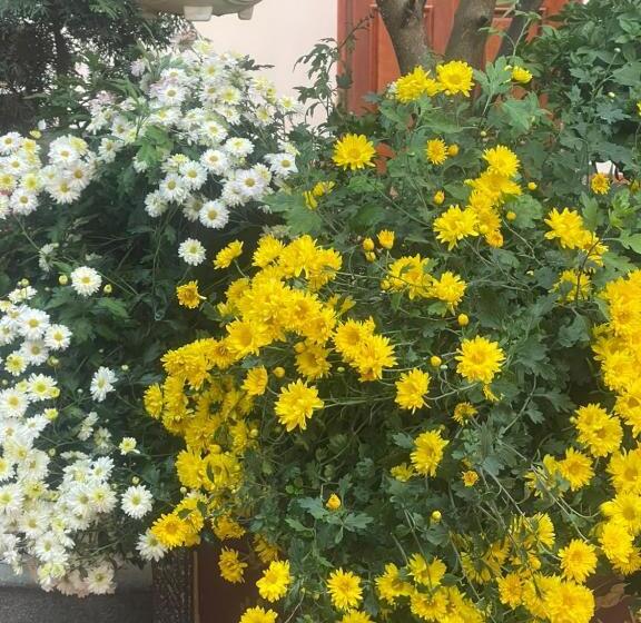 تختخواب و صبحانه The Memory Villa