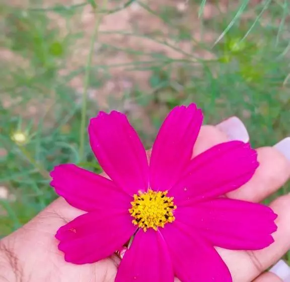 ホテル Jhandi Eco Heights