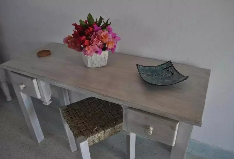 پانسیون Coral Village