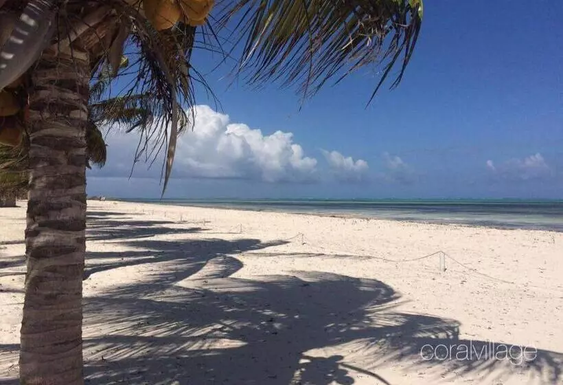 پانسیون Coral Village