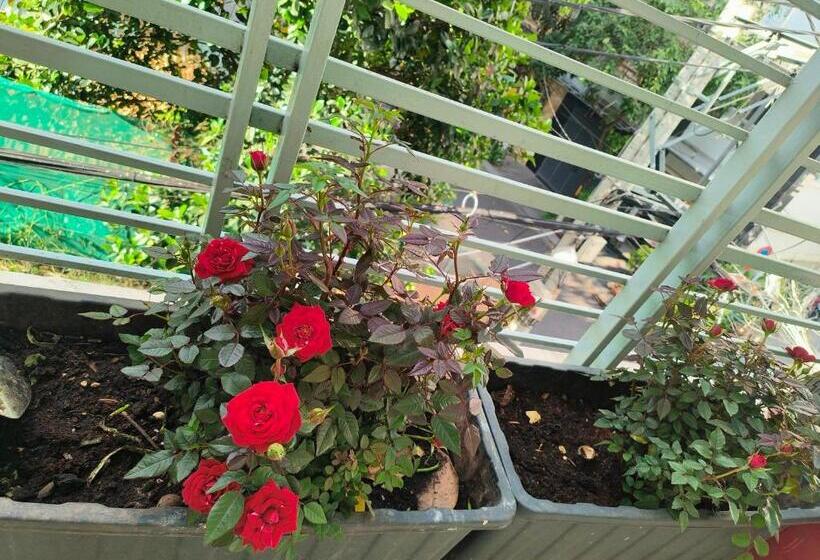 پانسیون Góc Hải Phòng Drinks & Homestay Q4