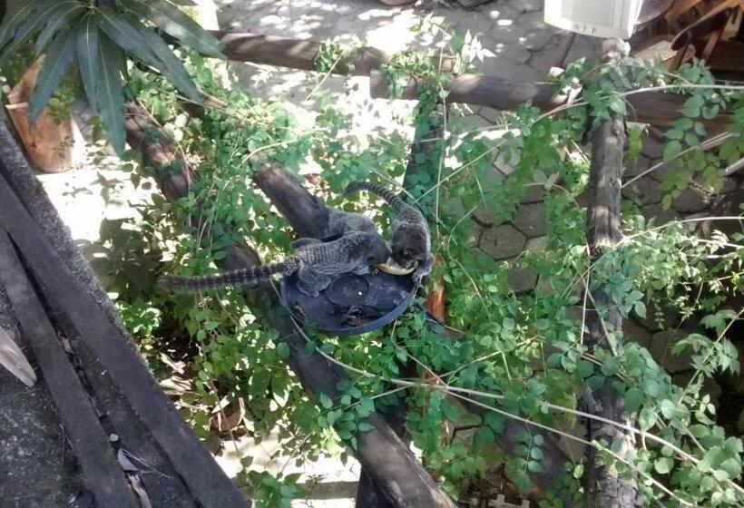 膳宿费 Republica Nossa Casa