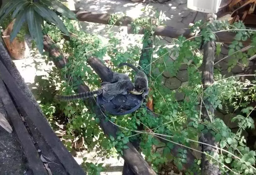 ペンション Republica Nossa Casa