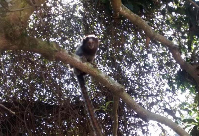 膳宿费 Republica Nossa Casa