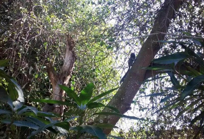 膳宿费 Republica Nossa Casa