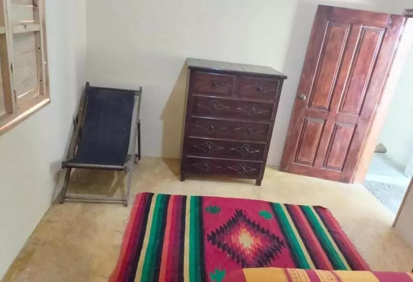 ペンション Casa De Huéspedes Zaadxil Doo