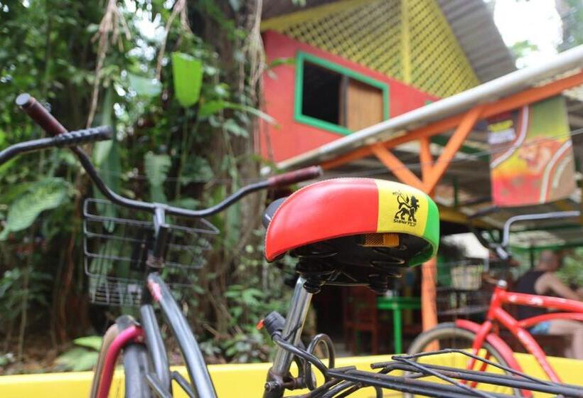 Szálloda Cool & Calm