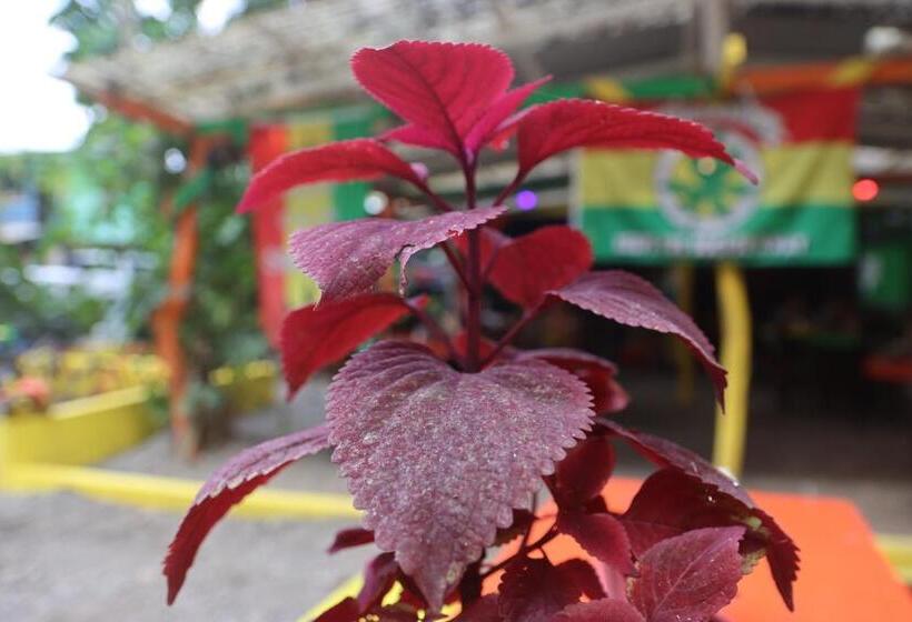 Szálloda Cool & Calm