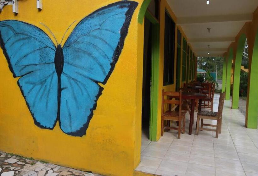 Szálloda Cool & Calm