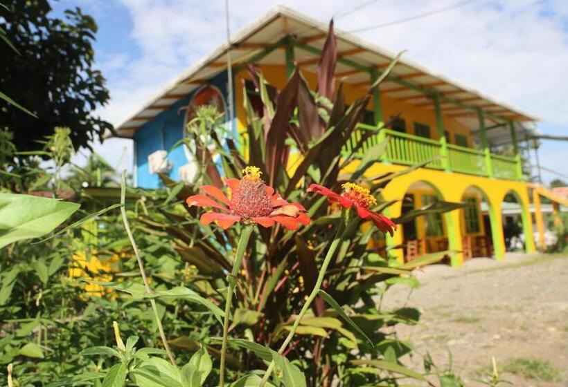 Szálloda Cool & Calm