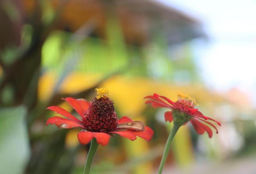 Szálloda Cool & Calm