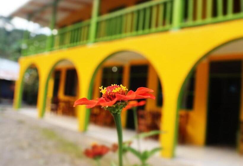 Szálloda Cool & Calm