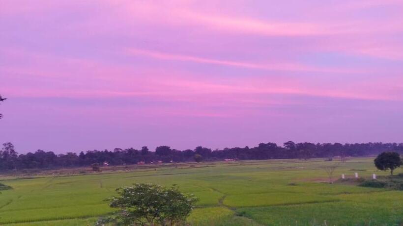 Hotel Dooars Nature Cent Resort