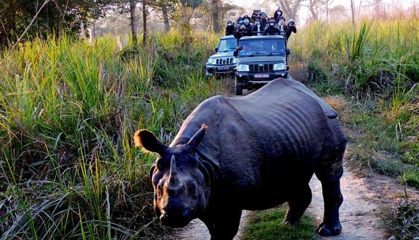 Szálloda Tharu Village