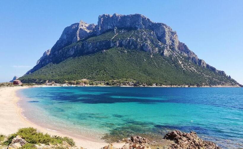 Iss Travel Apartaments, Via Del Tirreno 300 M From La Cinta Beach