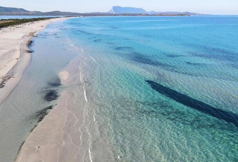 Iss Travel Apartaments, Via Del Tirreno 300 M From La Cinta Beach